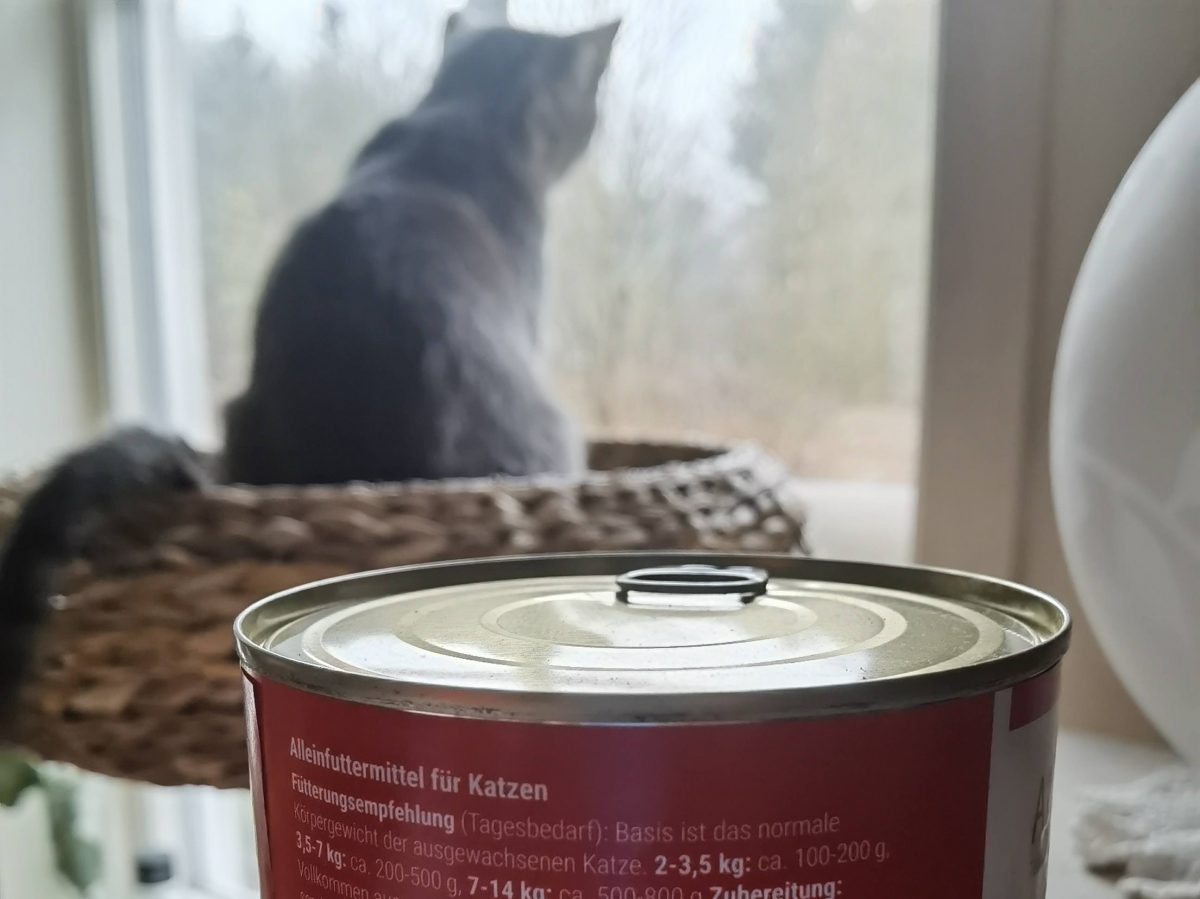 Foto einer Katzenfutterdose mit Katze im Hintergrund