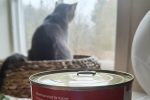 Foto einer Katzenfutterdose mit Katze im Hintergrund